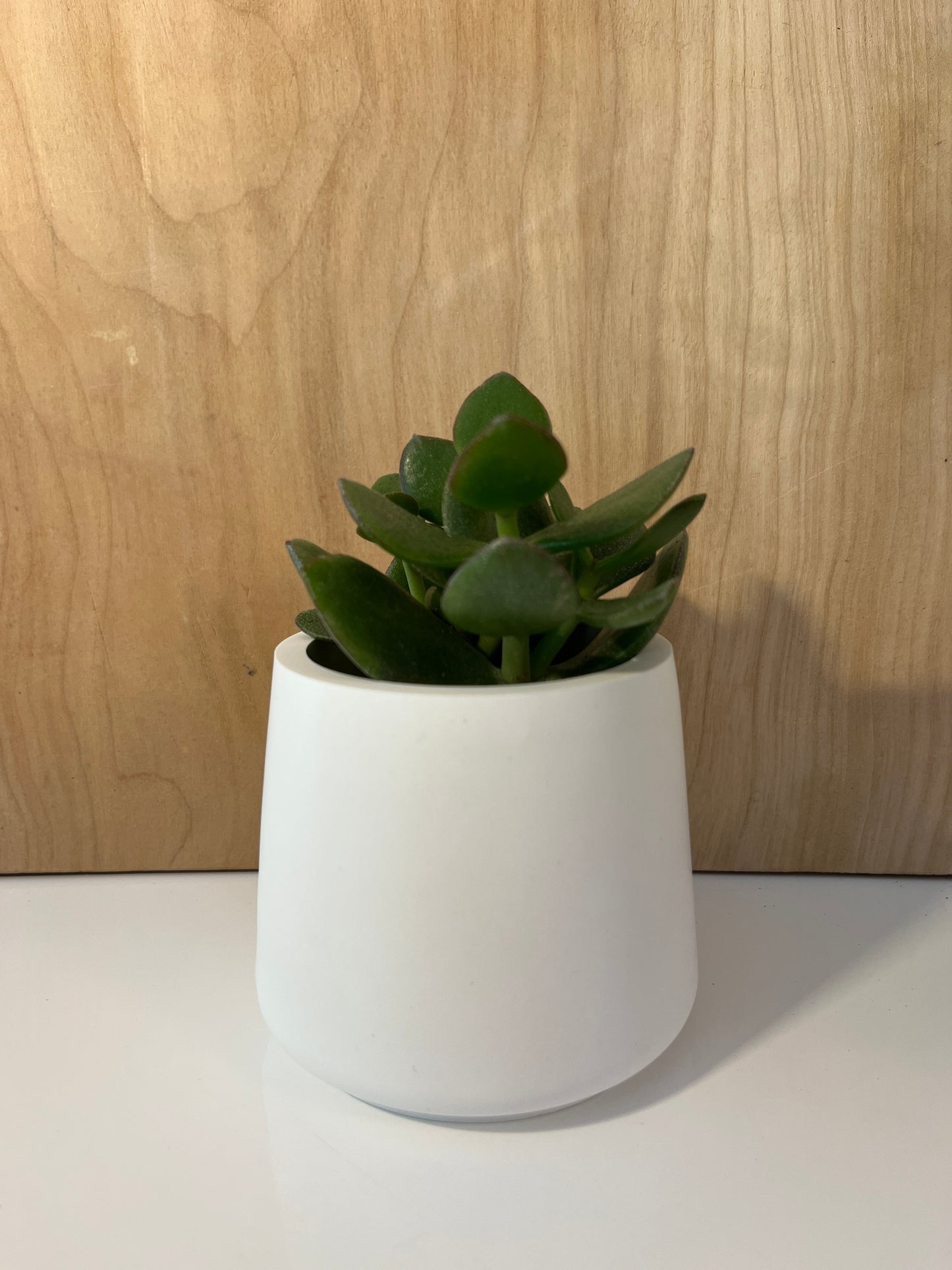 Bob - Contenant décoratif élégant - blanc