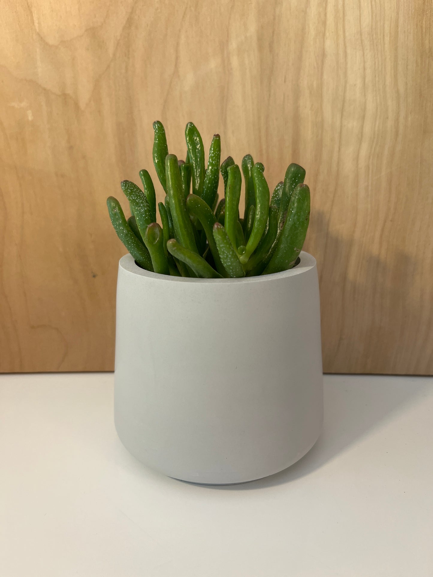 Bob - Contenant décoratif élégant en version gris