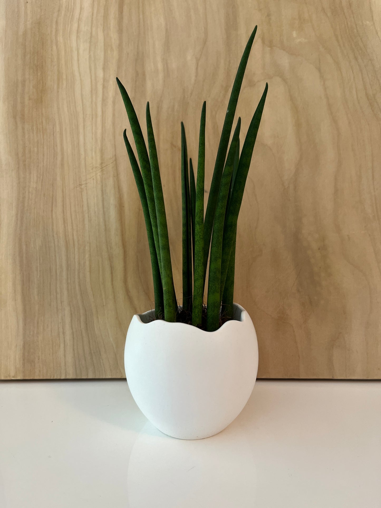 EGG S - Contenant décoratif