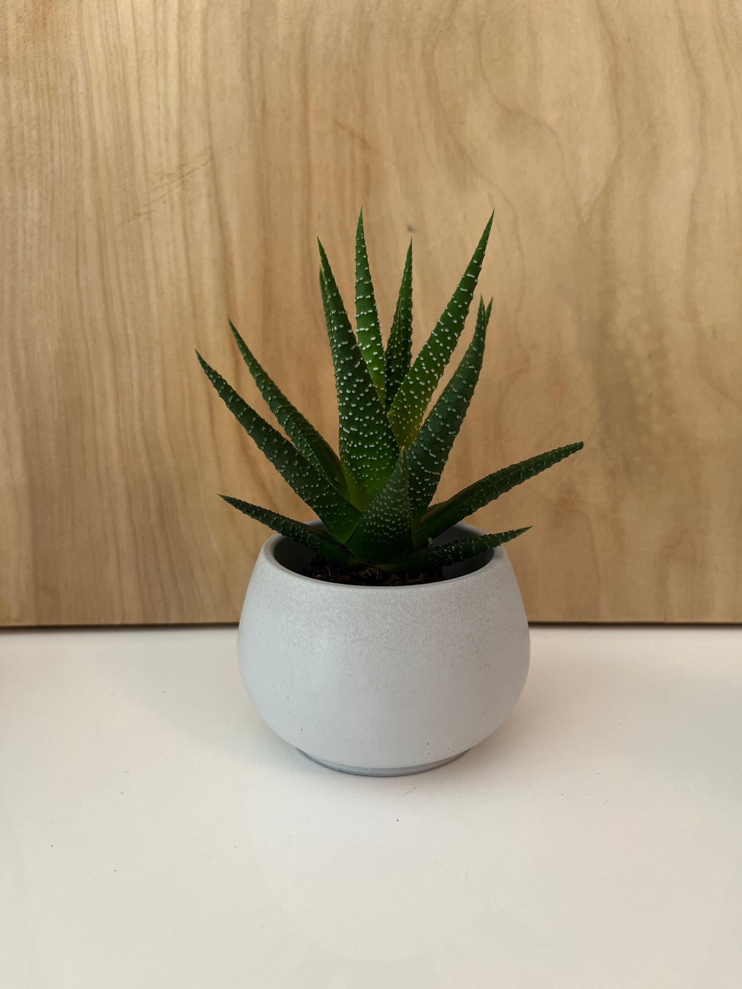 Pierre - Contenant décoratif