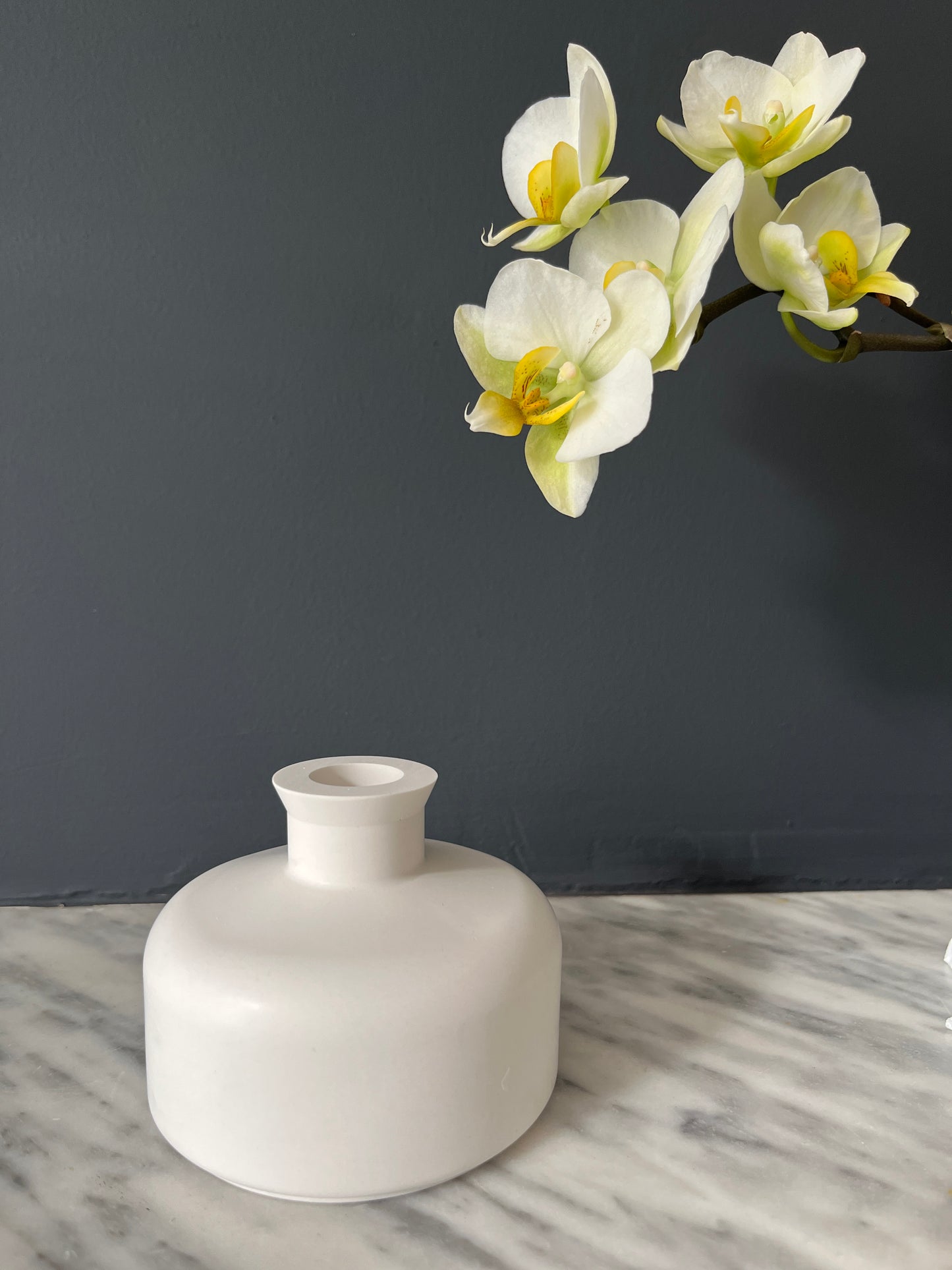 Découvrez Vase y - Rome