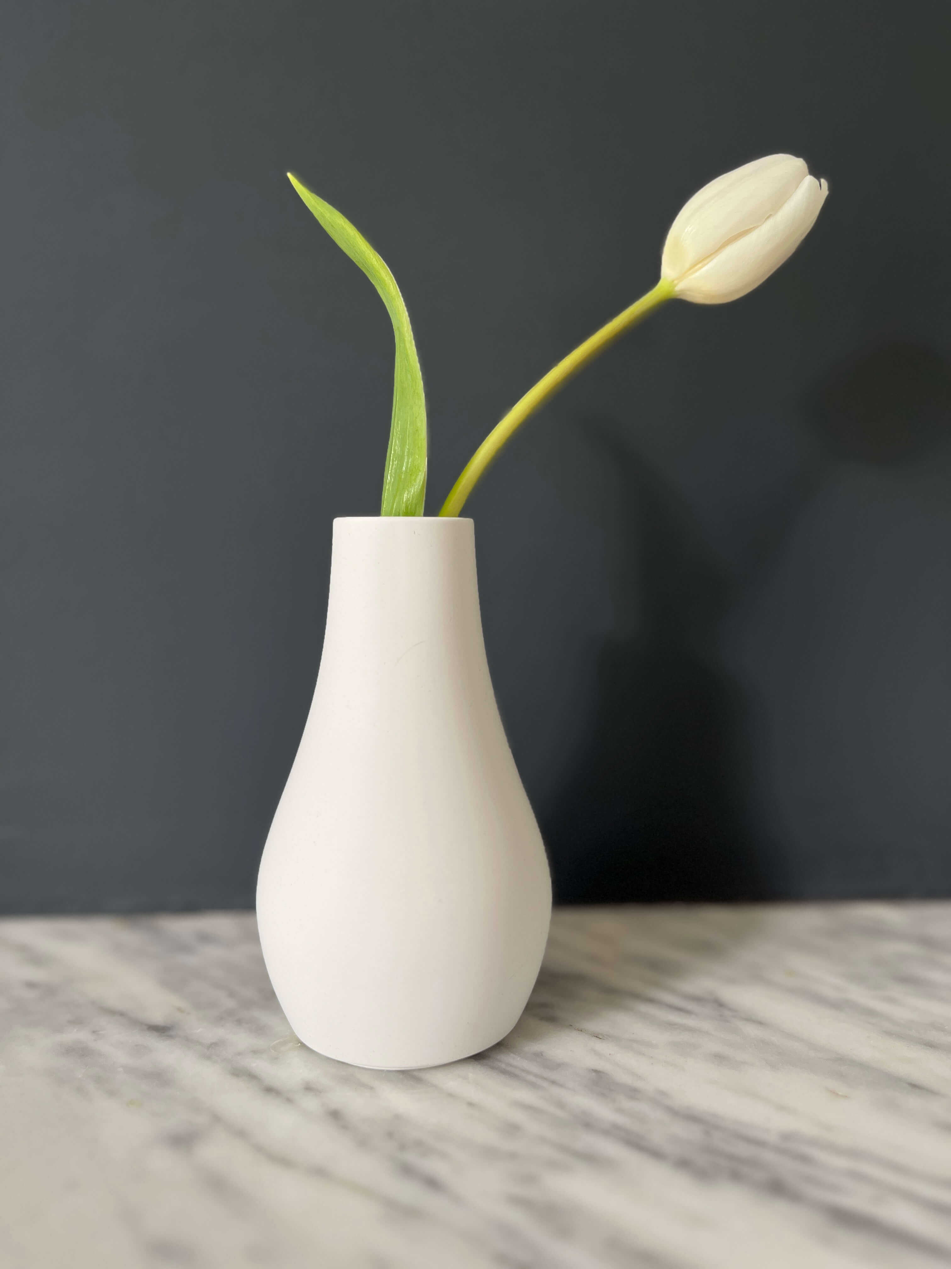 Vase y Syracuse - Présentation blanc - tulipe