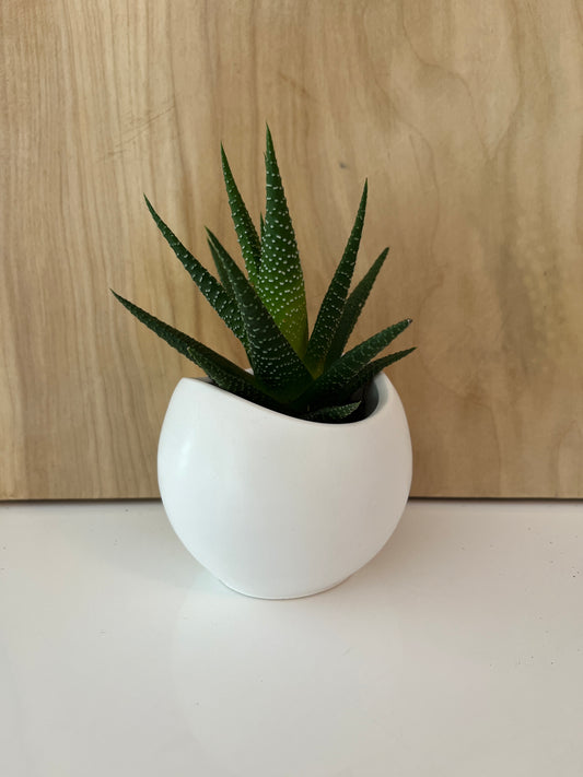 Bill - Contenant décoratif version blanc